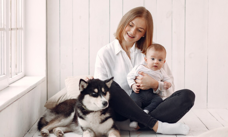 adopting a dog DE - PawrPose